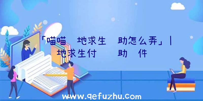 「喵喵绝地求生辅助怎么弄」|绝地求生付费辅助软件